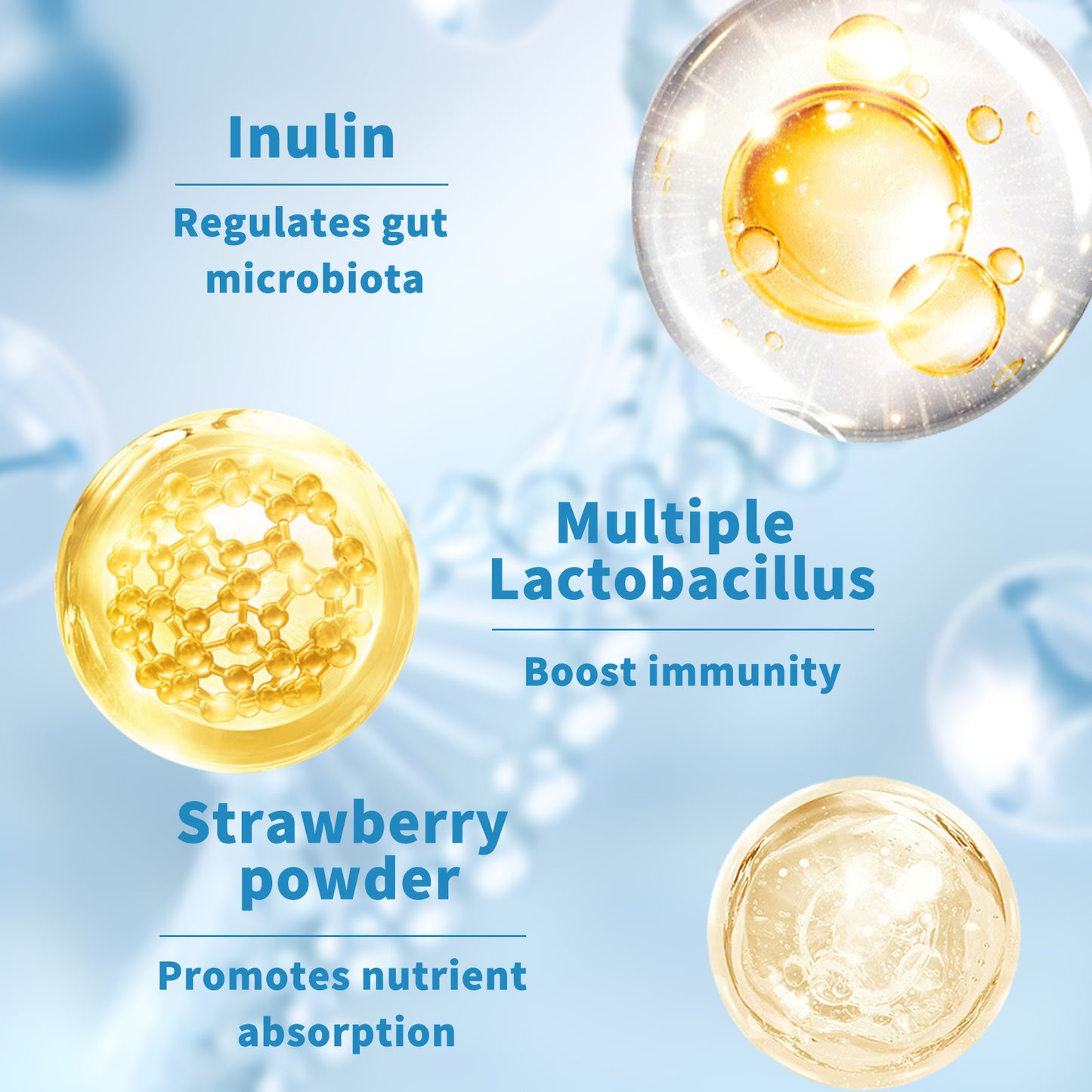 Probiotics for Men & Women – 60 Billion CFU
Daily digestive & immune support with 10 strains + prebiotics.