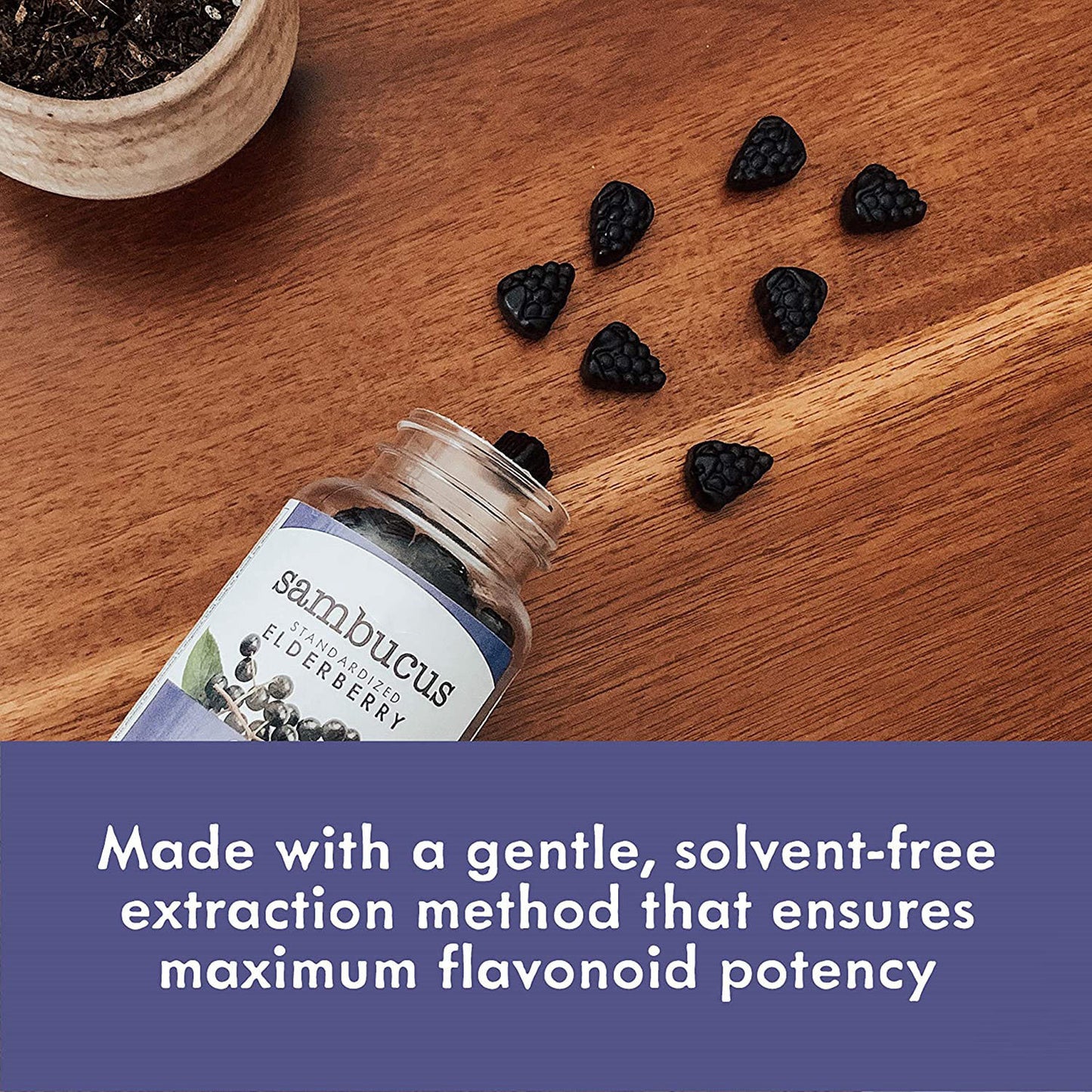 Elderberry Gummies – Vegan Immune Support
Daily antioxidant and immune defense with elderberry, zinc & vitamin C.