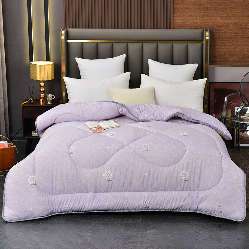 Summer Blanket Thickened Silk Floss Winter Duvet Insert (3)