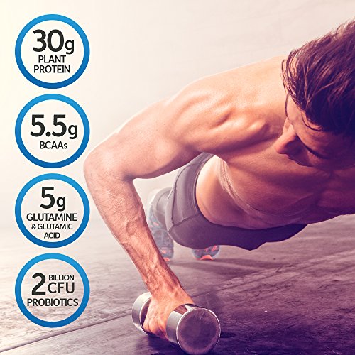 Garden of Life Vegan Sport Chocolate Protein – 30g, Probiotics, 19 Servings