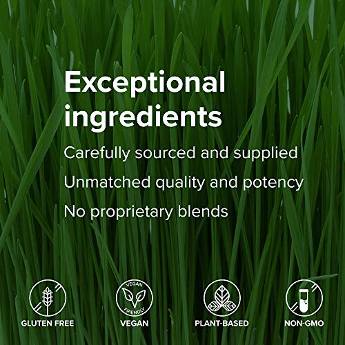 Vibrant Health, Maximum Vibrance, Complete Vegan Meal Shake with Plant-Based Protein, Vanilla Bean, 15 Servings