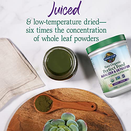 Garden of Life Raw Organic Detox Greens – Lemon Ginger, 30 Servings