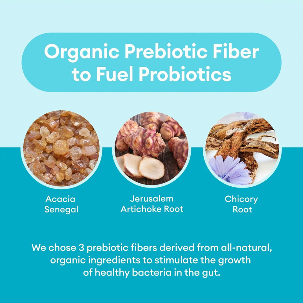 Probiotics 60 Billion CFU + Organic Prebiotics
Digestive & immune support for gas, bloating & gut balance.