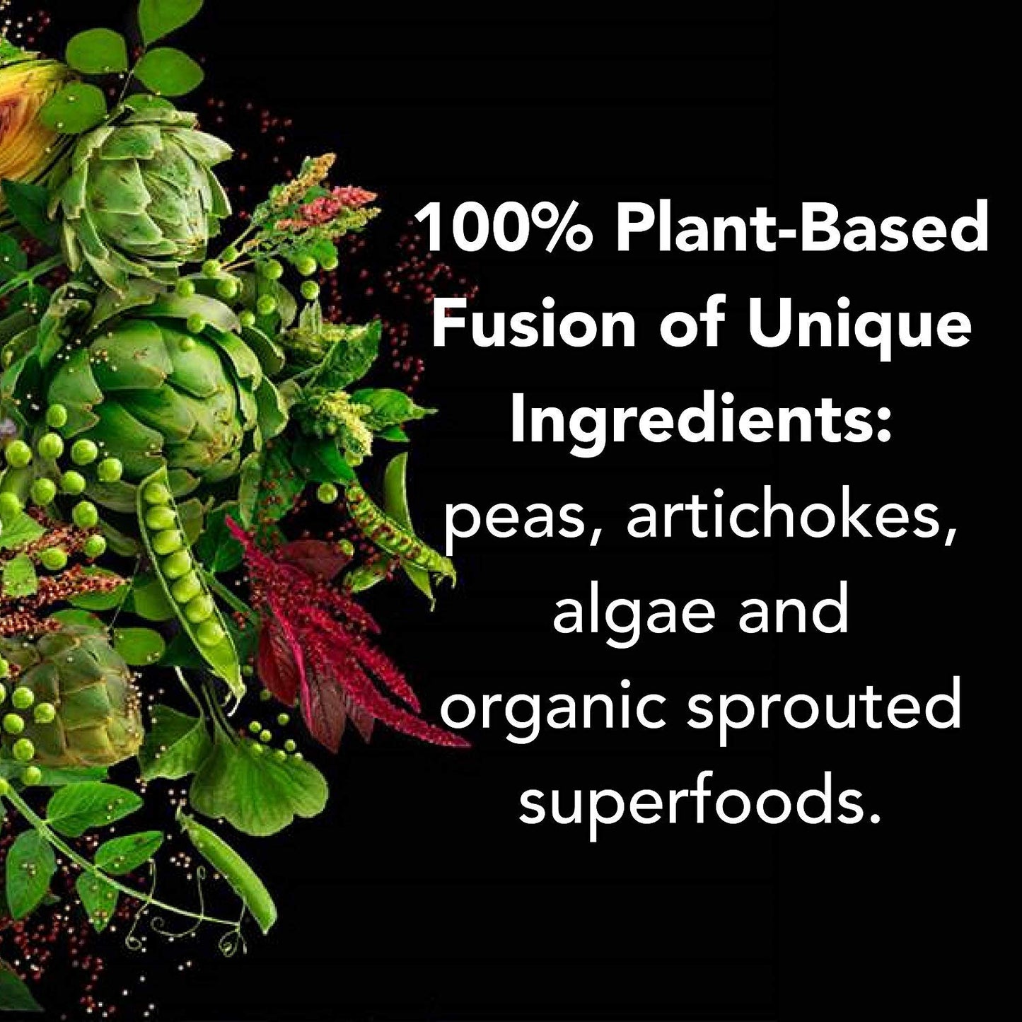 PlantFusion Complete Chocolate Vegan Protein – Keto, Gluten-Free, 1 lb