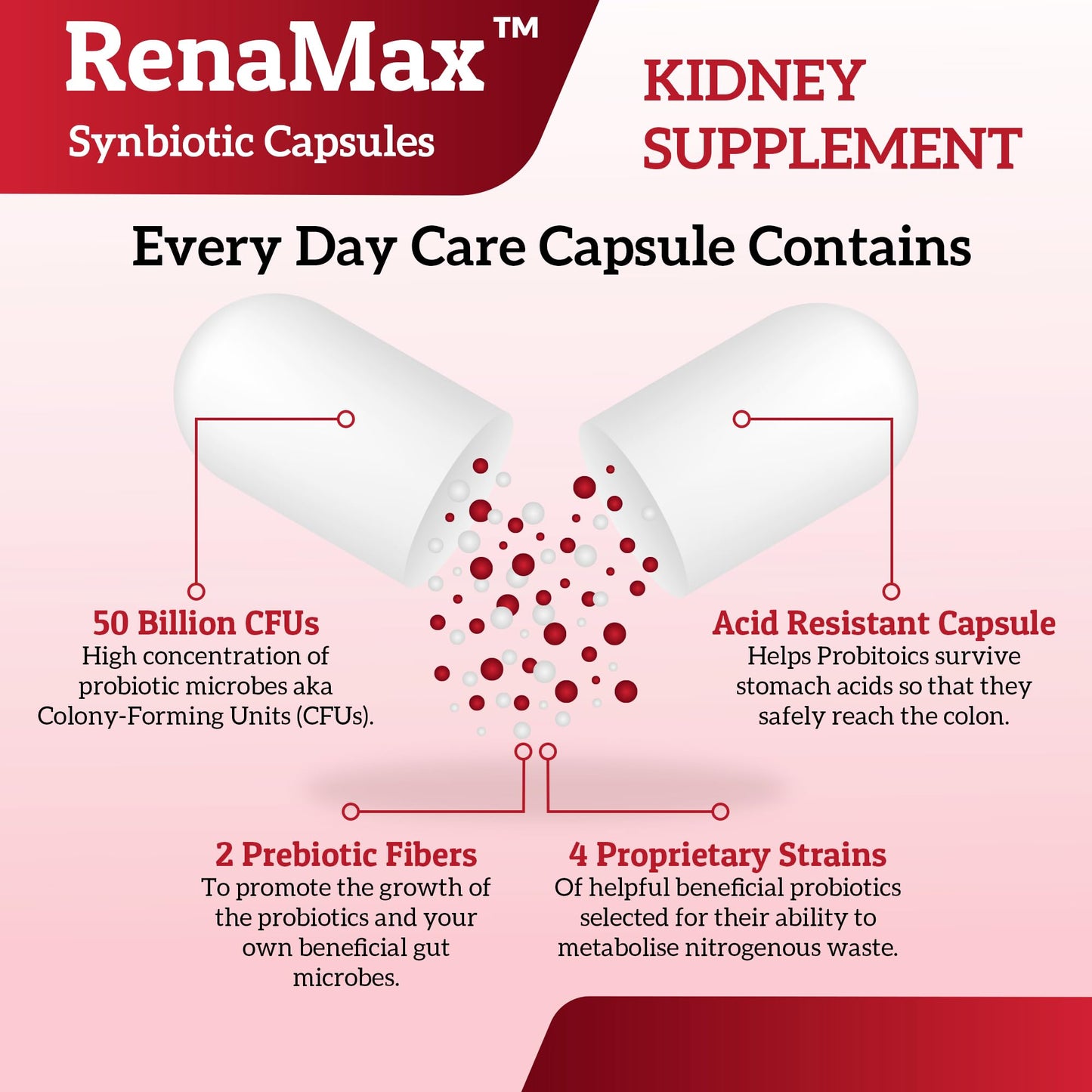 RENAMAX Kidney Restore – Probiotic & Prebiotic Support – 90 Capsules