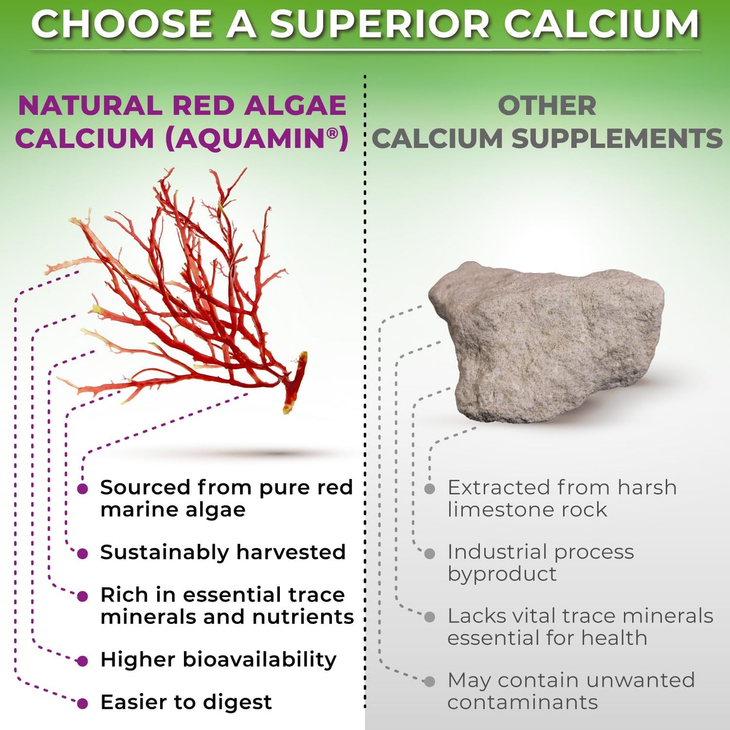 Plant-Based Calcium 500mg – Magnesium, D3, K2, Turmeric, Bone Health, 180 Ct
