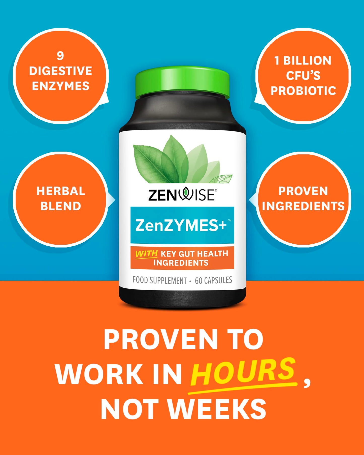 Zenwise NO Bloat – Probiotic + Enzymes for Gas, Bloating & Water Relief