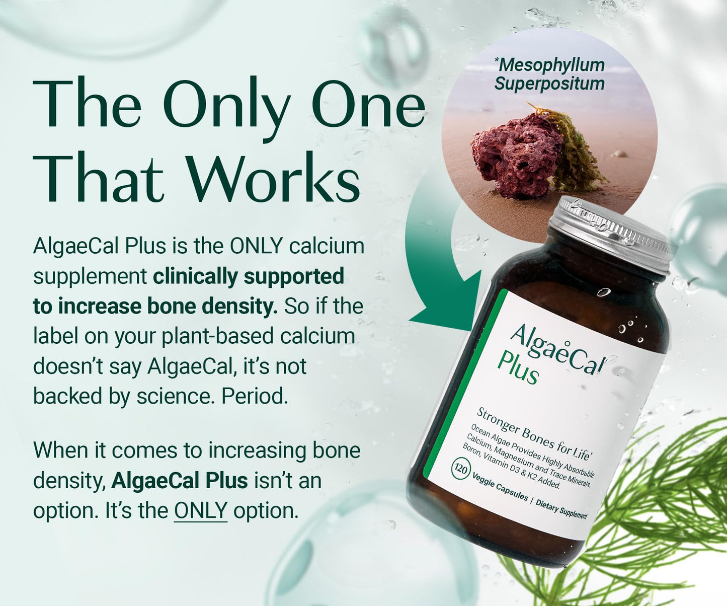 AlgaeCal Plus Plant Calcium with D3, K2, Magnesium for Bones - 120 Ct
