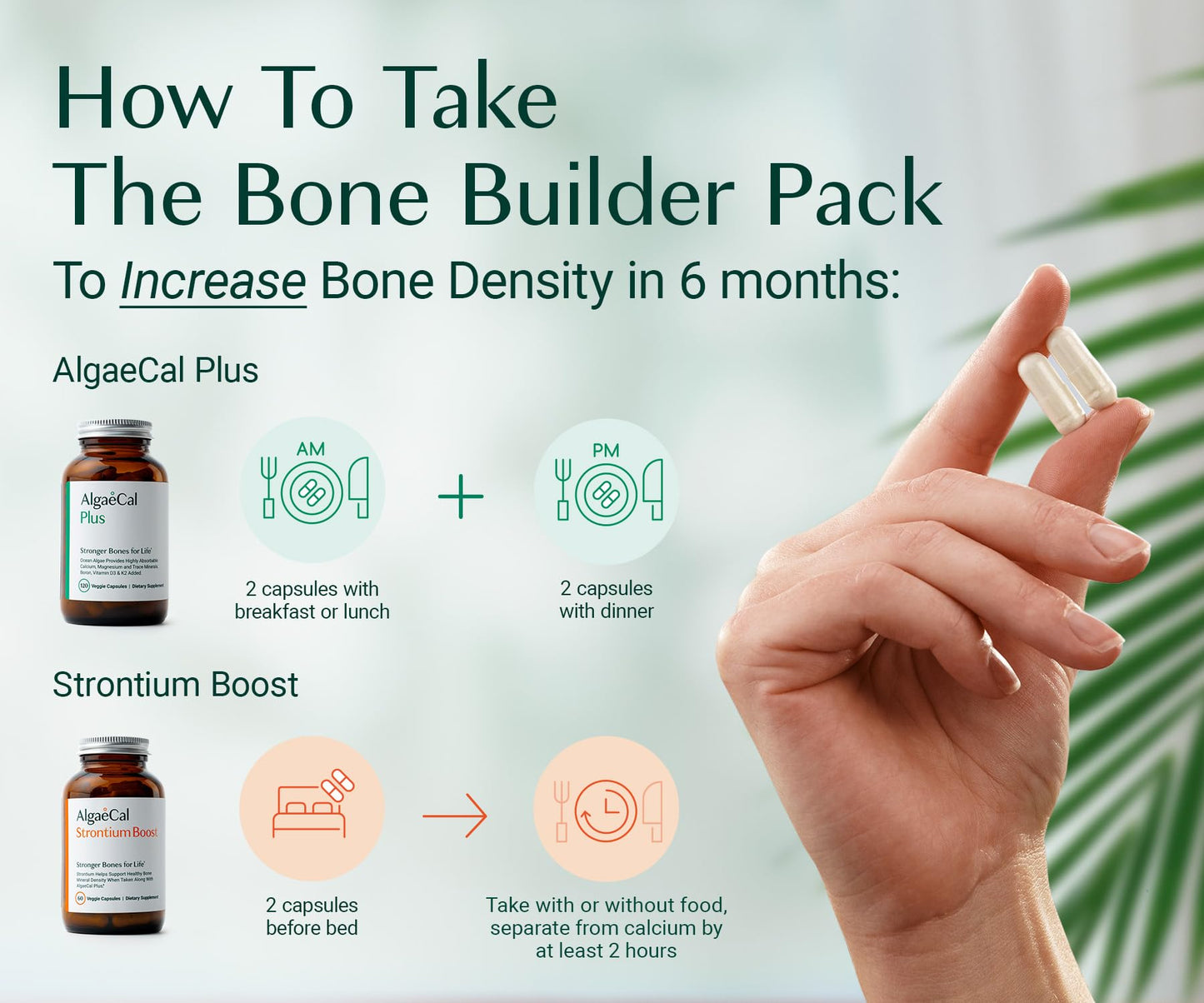 AlgaeCal Bone Builder Pack – Plant-Based Calcium + K2, D3, Magnesium for Bone Strength