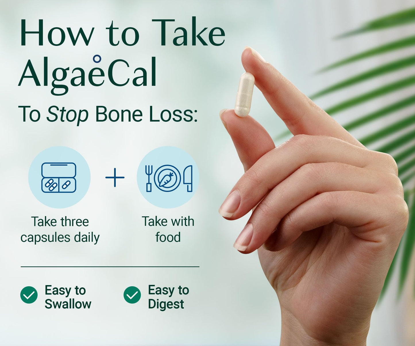 AlgaeCal Plant-Based Calcium with D3 & Minerals for Bone Health - 90 Ct