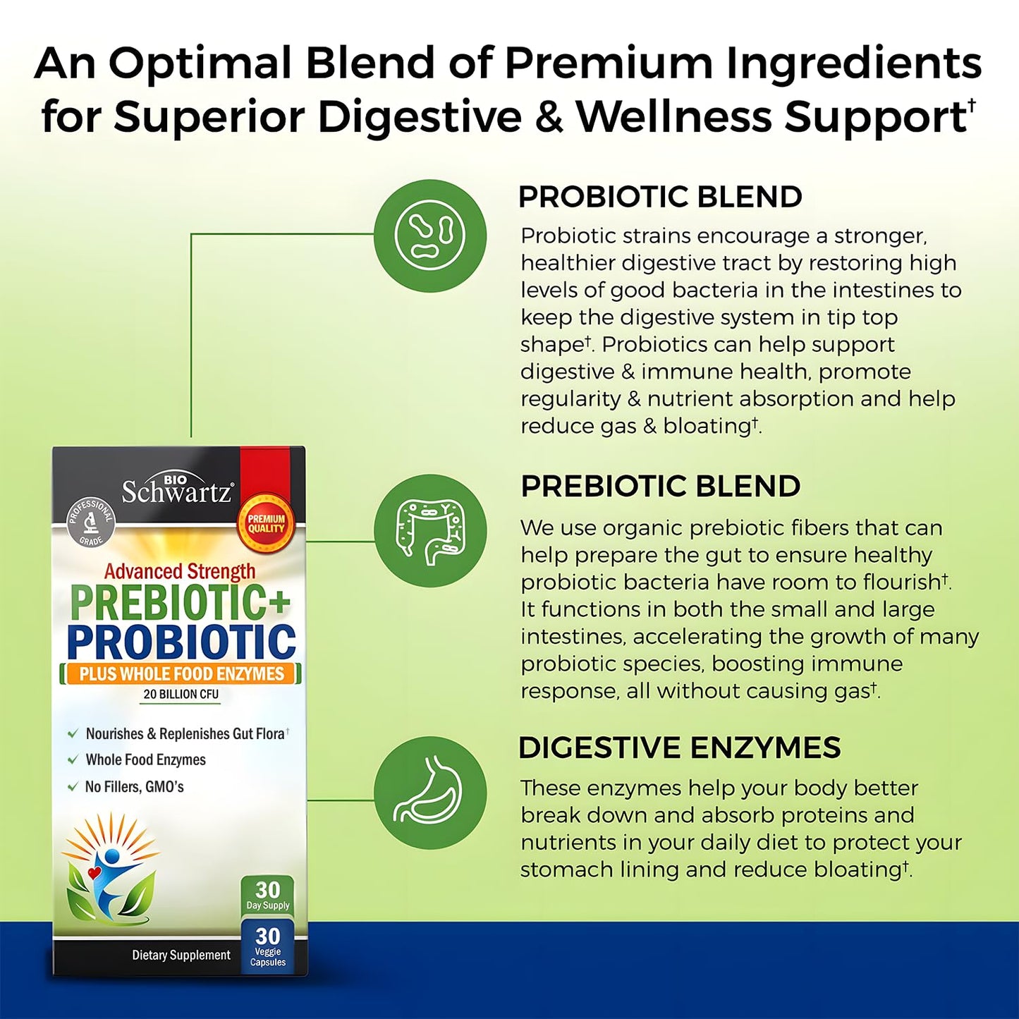 Prebiotics & Probiotics + Whole Food Enzymes – Digestive Health Support