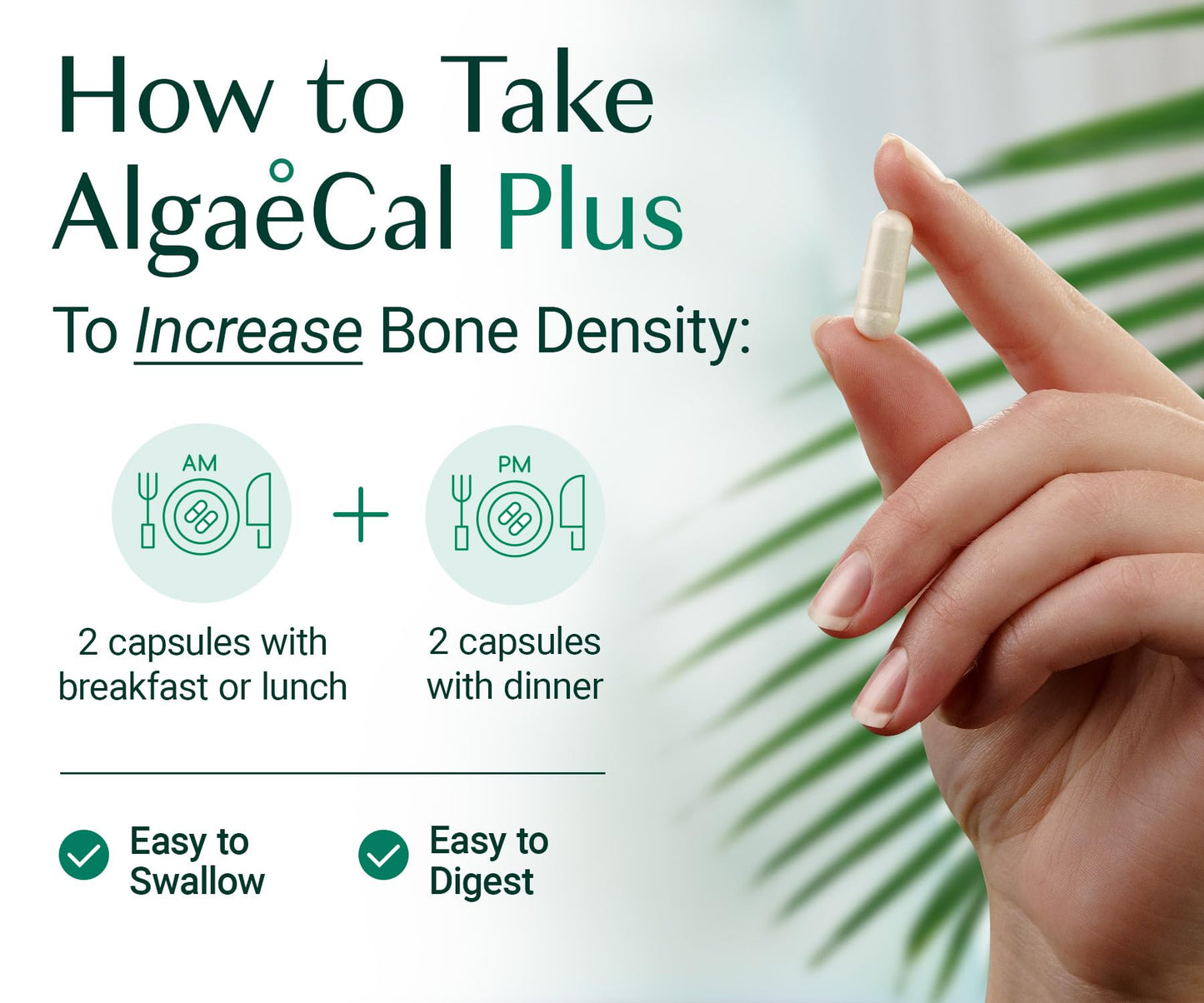 AlgaeCal Plus Plant Calcium with D3, K2, Magnesium for Bones - 120 Ct