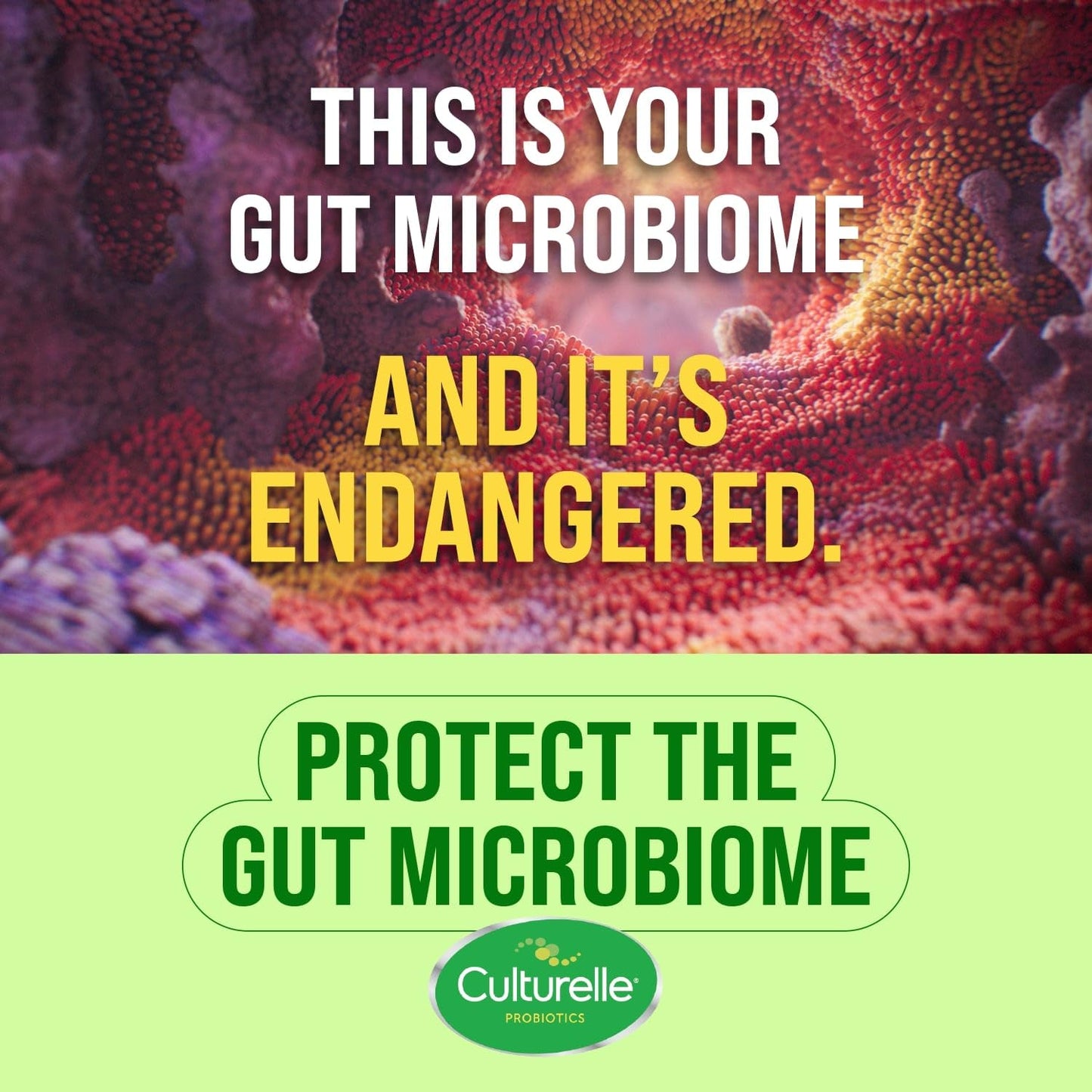 Culturelle Pro Strength Probiotic – Digestive, Gas & Bloating Relief