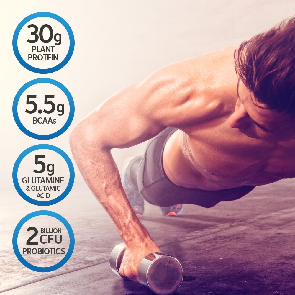 Garden of Life Sport Vegan Protein – Vanilla, 30g, NSF, 19 Servings