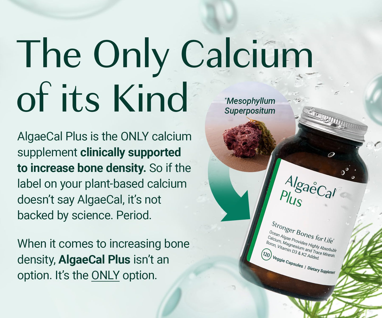 AlgaeCal Bone Builder Pack – Plant-Based Calcium + K2, D3, Magnesium for Bone Strength