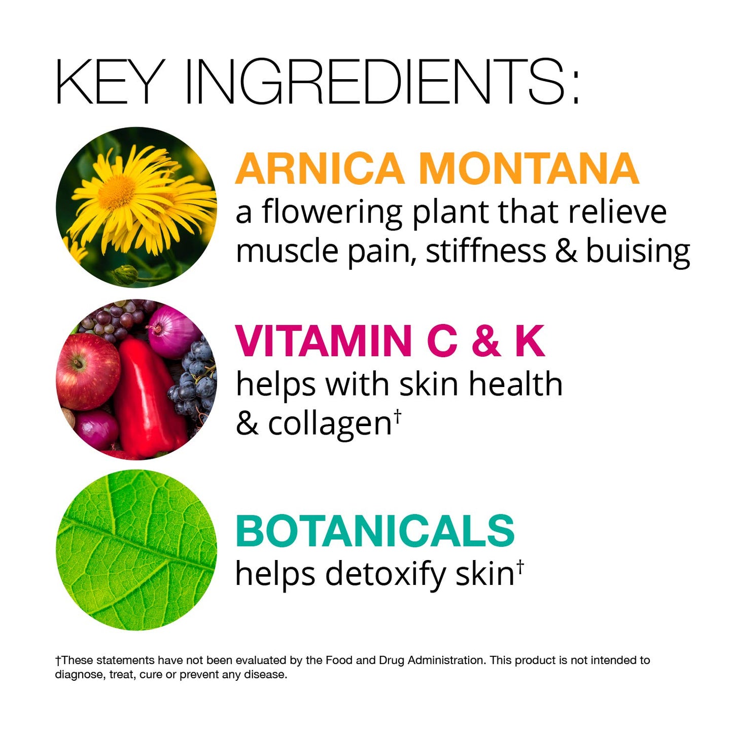Vitamedica | Arnica Filler Kit Bundle | Arnica Montana 30X Blister Pack + Arnica & Vitamin K Topical Cream | Vitamin K Topical Cream | Softens, Calms, Moisturizes, & Restores Bruised Skin | Recovery