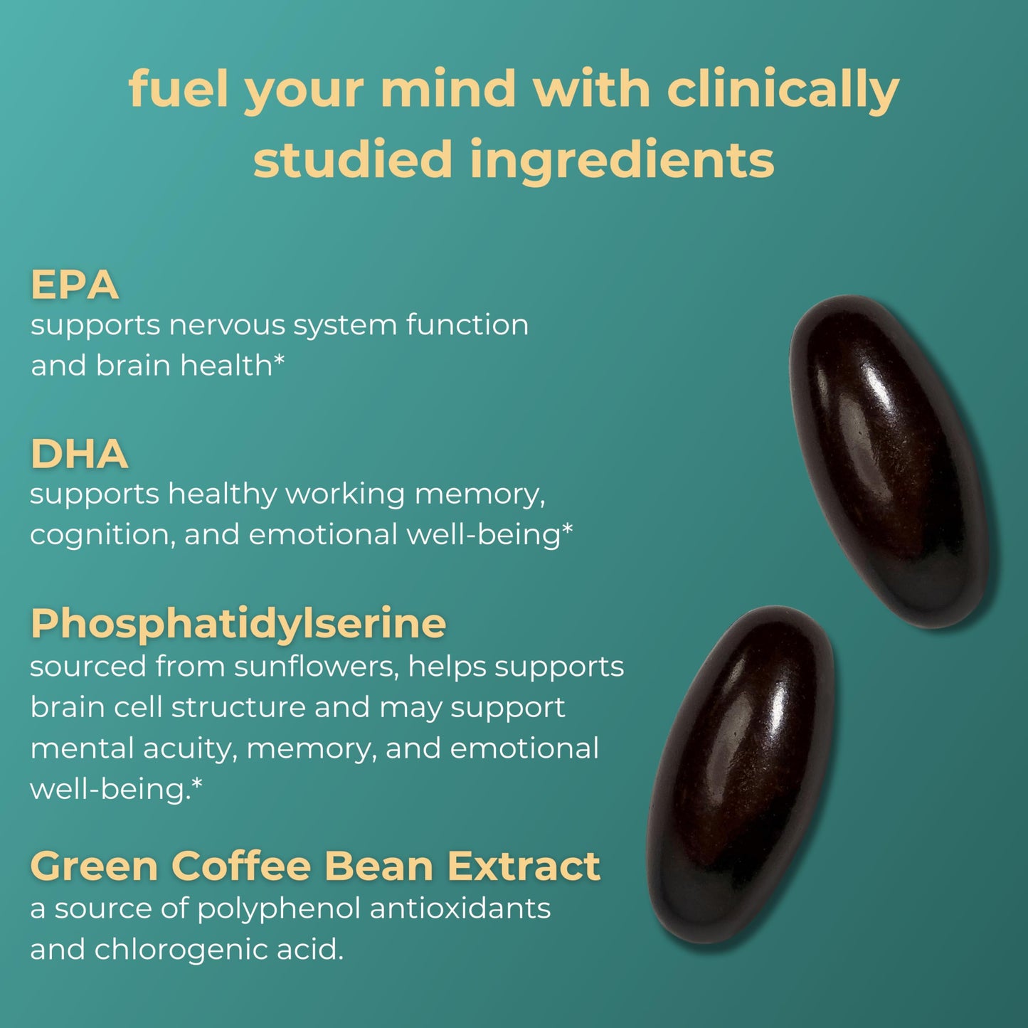 iwi life Brain Omega-3 – Vegan Algae DHA & EPA for Focus & Memory Support