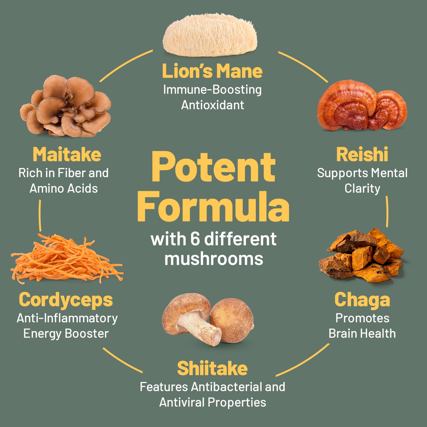 Vegan Mushroom Complex – Reishi, Chaga, Lion's Mane, 120 Ct