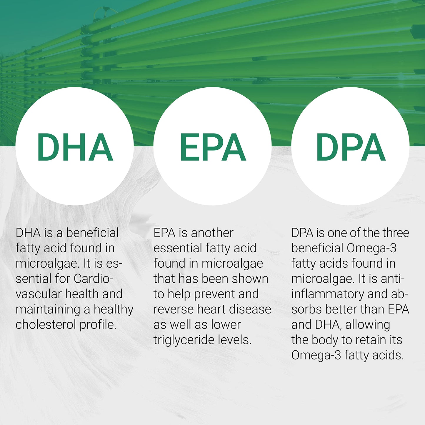 Naturalis Vegan Omega-3 – DHA, EPA & DPA Algae Oil | 120 Softgels