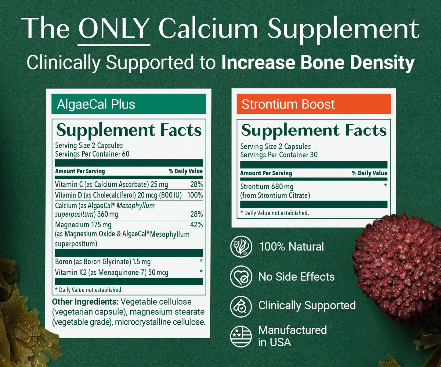 AlgaeCal Bone Builder Pack – Plant-Based Calcium + K2, D3, Magnesium for Bone Strength