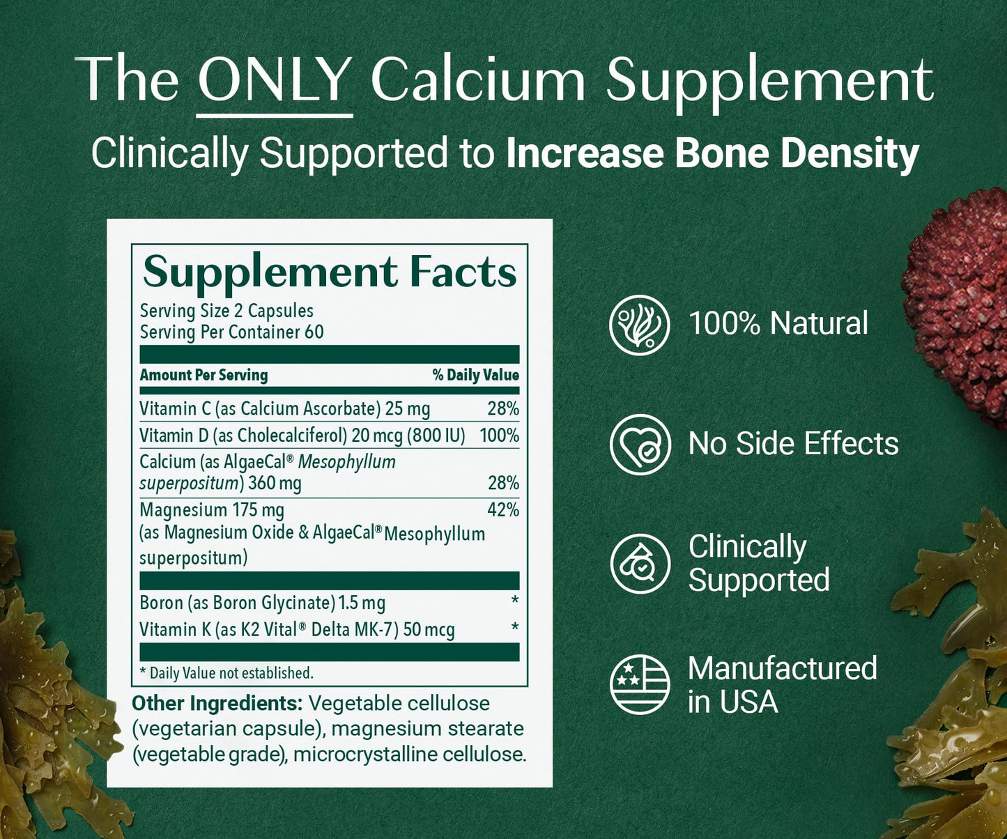 AlgaeCal Plus Plant Calcium with D3, K2, Magnesium for Bones - 120 Ct