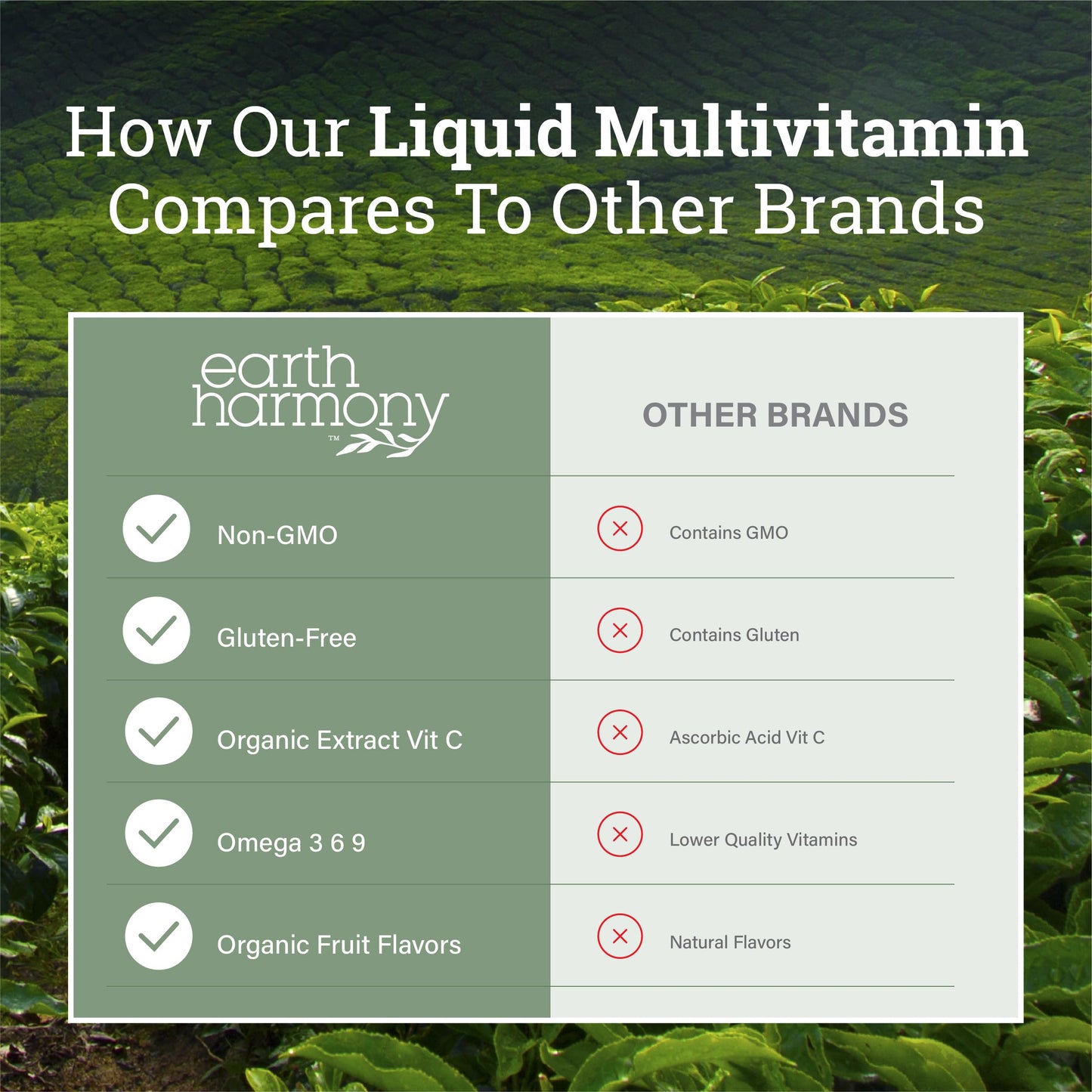 Earth Harmony Liquid Multivitamin – Energy & Immunity, 32 oz
