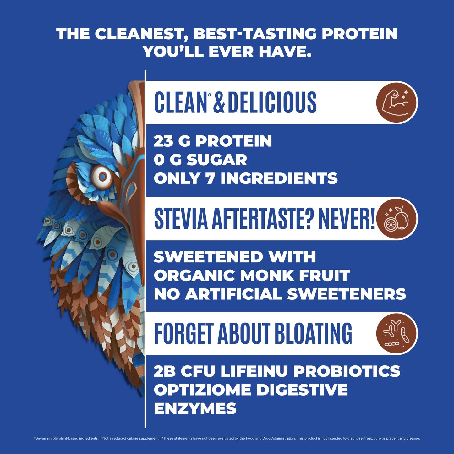 Birdman Falcon Vegan Protein – Chocolate, Organic, Stevia-Free, Keto