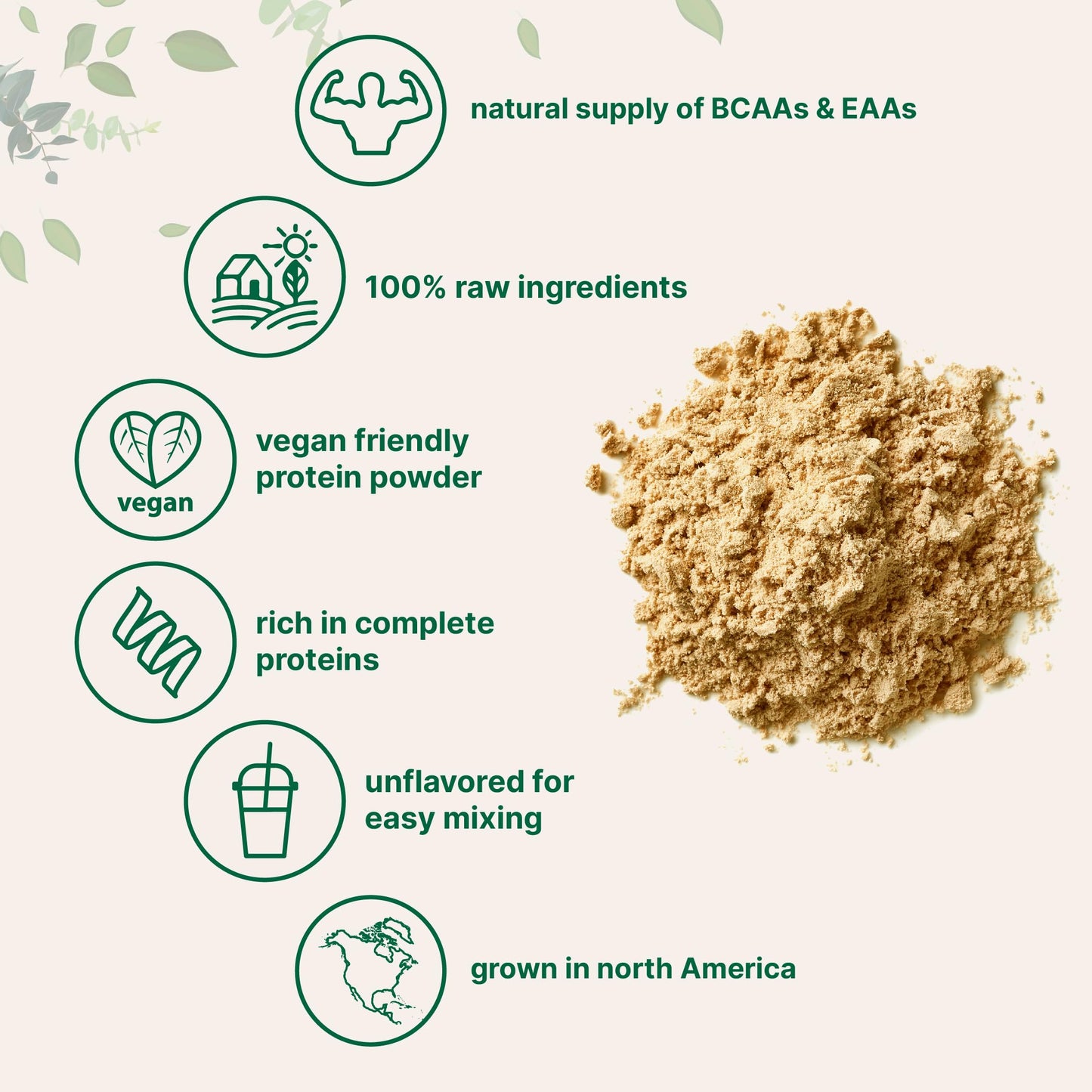 Micro Ingredients Pea Protein – Unflavored, 27g, Vegan, 5 lb