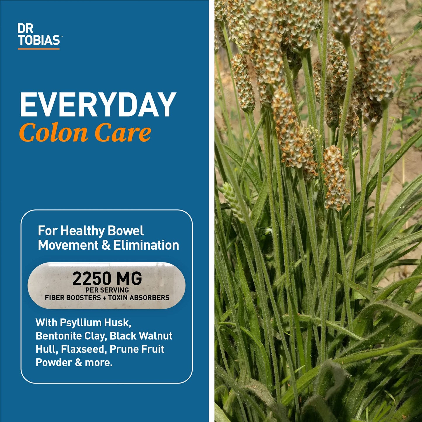 Dr. Tobias Deep Immune – Probiotics, Prebiotics & Fiber for Gut Health