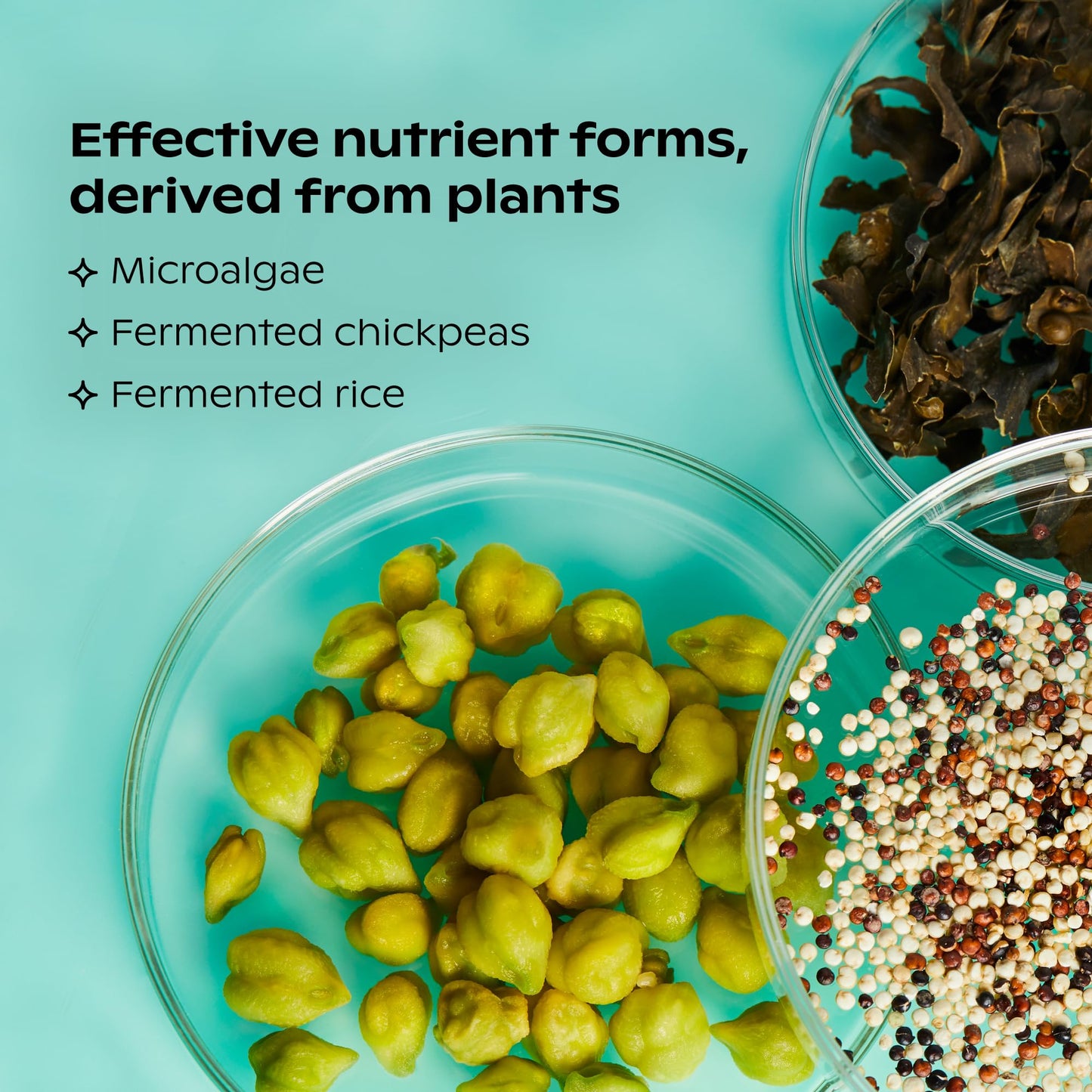 wholier Plant-Based Multivitamin – Vegan Omega-3, B12, D3, K2, Iron Support