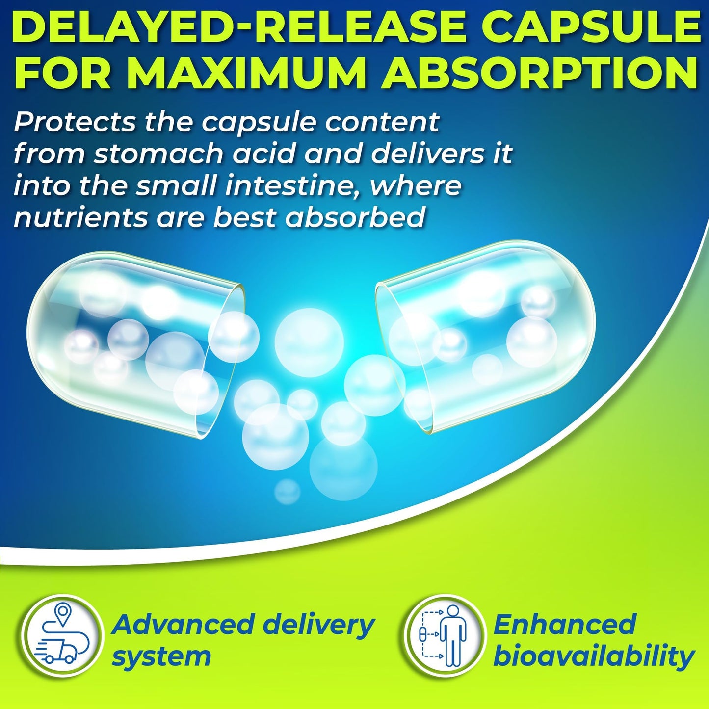 3-in-1 Probiotics + Digestive Enzymes + Prebiotics – Gut Health Support