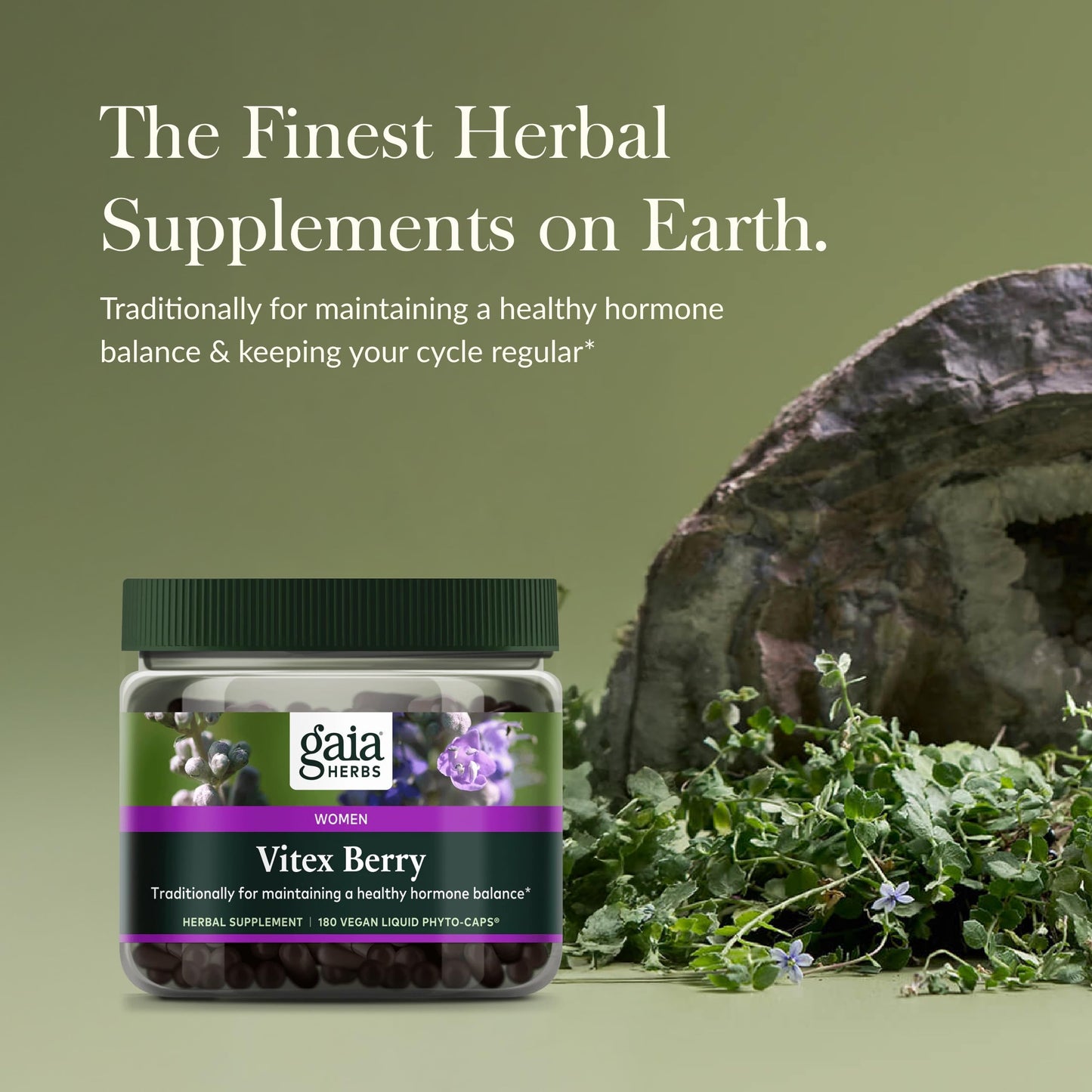 Gaia Herbs Vitex Berry - Supports Hormone Balance & Fertility for Women - Healthy Progesterone for Menstrual Health - 180 Vegan Caps (90-Day Supply)