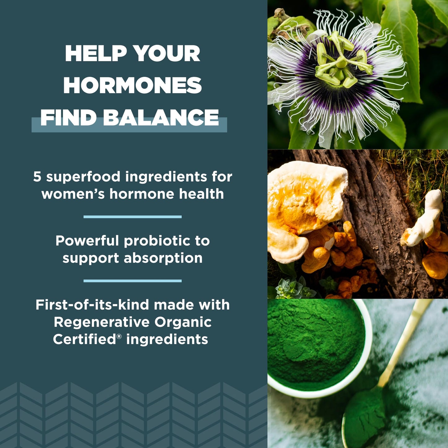 Ancient Nutrition Regenerative Organic Certified Women's Hormones Capsules, Supports Women’s Hormone Health, Healthy Digestion, and Gut Microflora, Gluten Free, Paleo and Keto Friendly, 90 Count