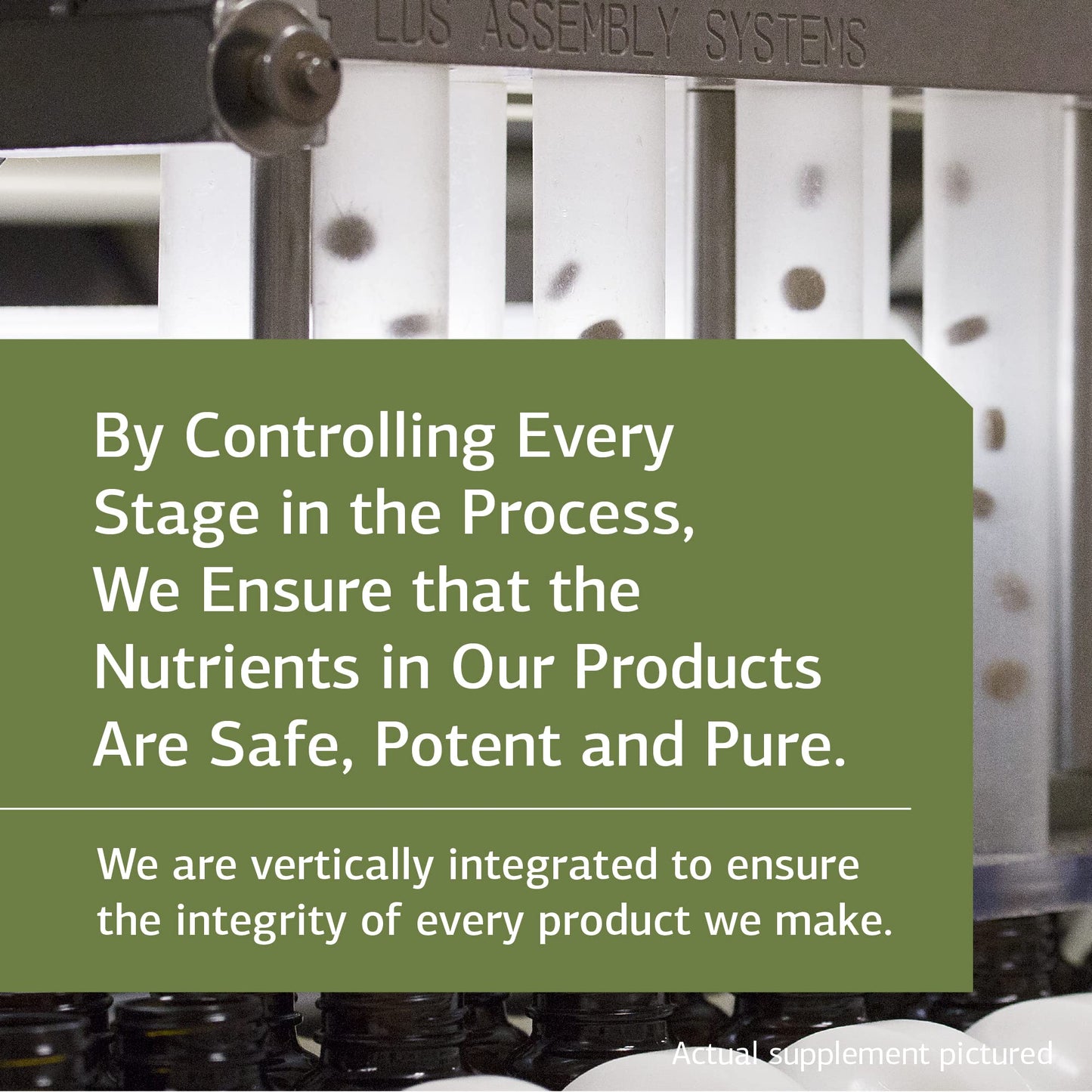 Standard Process Inc. Zinc Chelate - Whole Food Digestion and Digestive Health, and Skin Health with Beet Root and Zinc - 180 Tablets