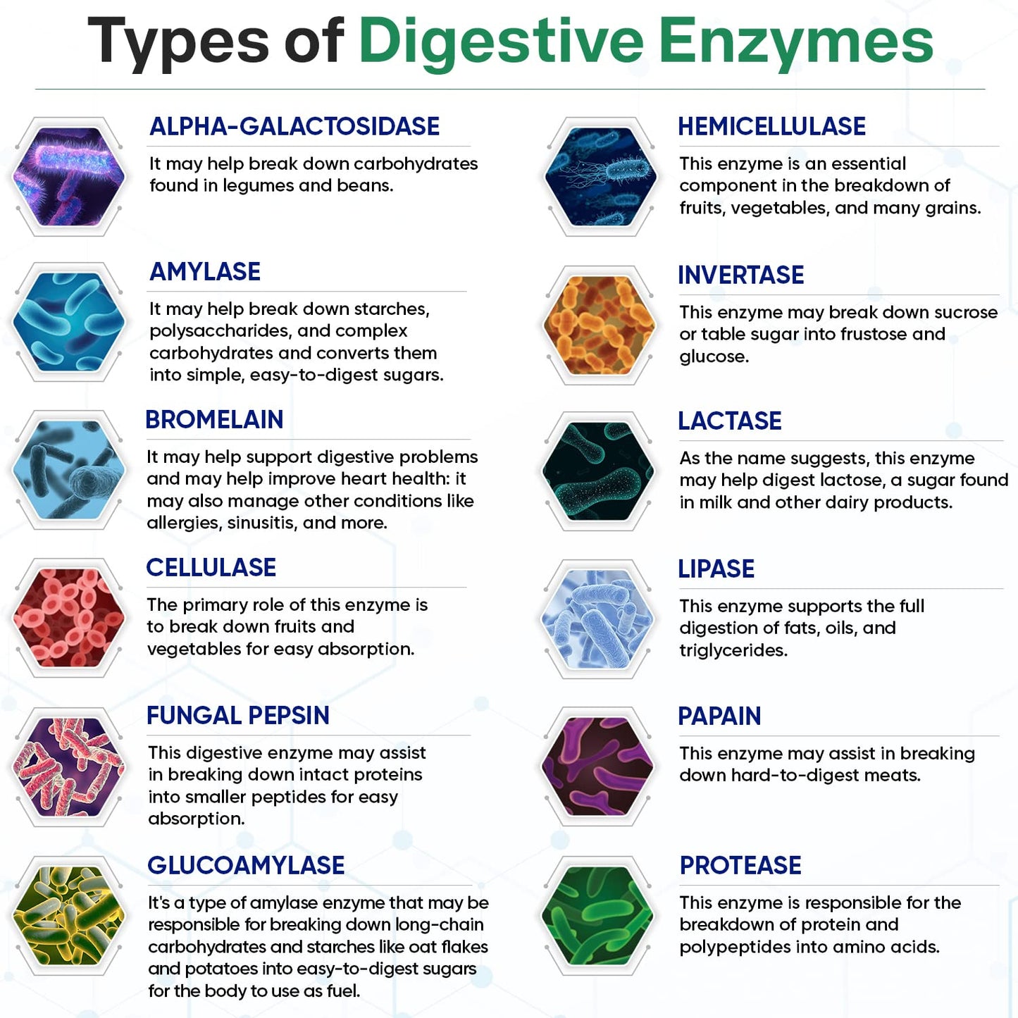 Wholesome Wellness Digestive Enzymes – Probiotics, Prebiotics & Lactose Support