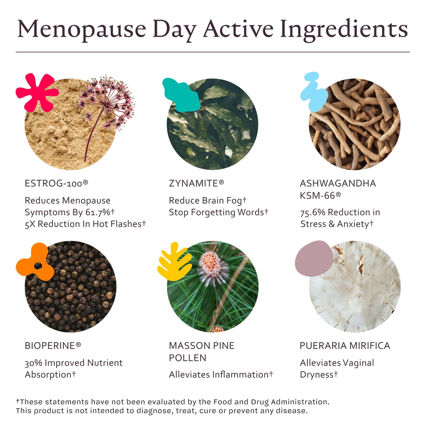 MiM Menopause Day Relief for Women: Powerful, Hormone-Free Relief† for Hot Flashes, Brain Fog, Mood, Fatigue