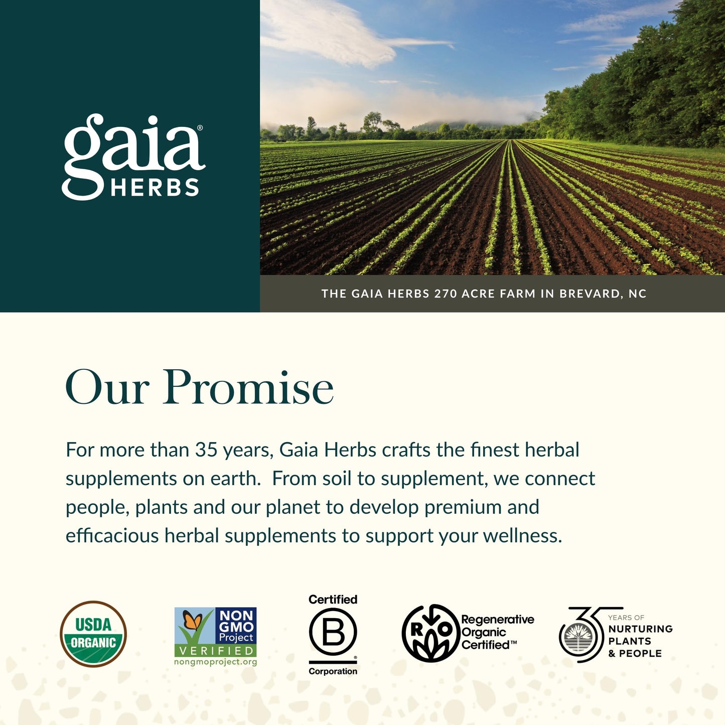 Gaia Herbs Cycle Support - Supports Hormone Balance & PMS Relief - Herbal Supplement with Vitex Berry & Schisandra - Free from Gluten, Dairy & Soy - 60 Vegan Capsules (30 Servings)