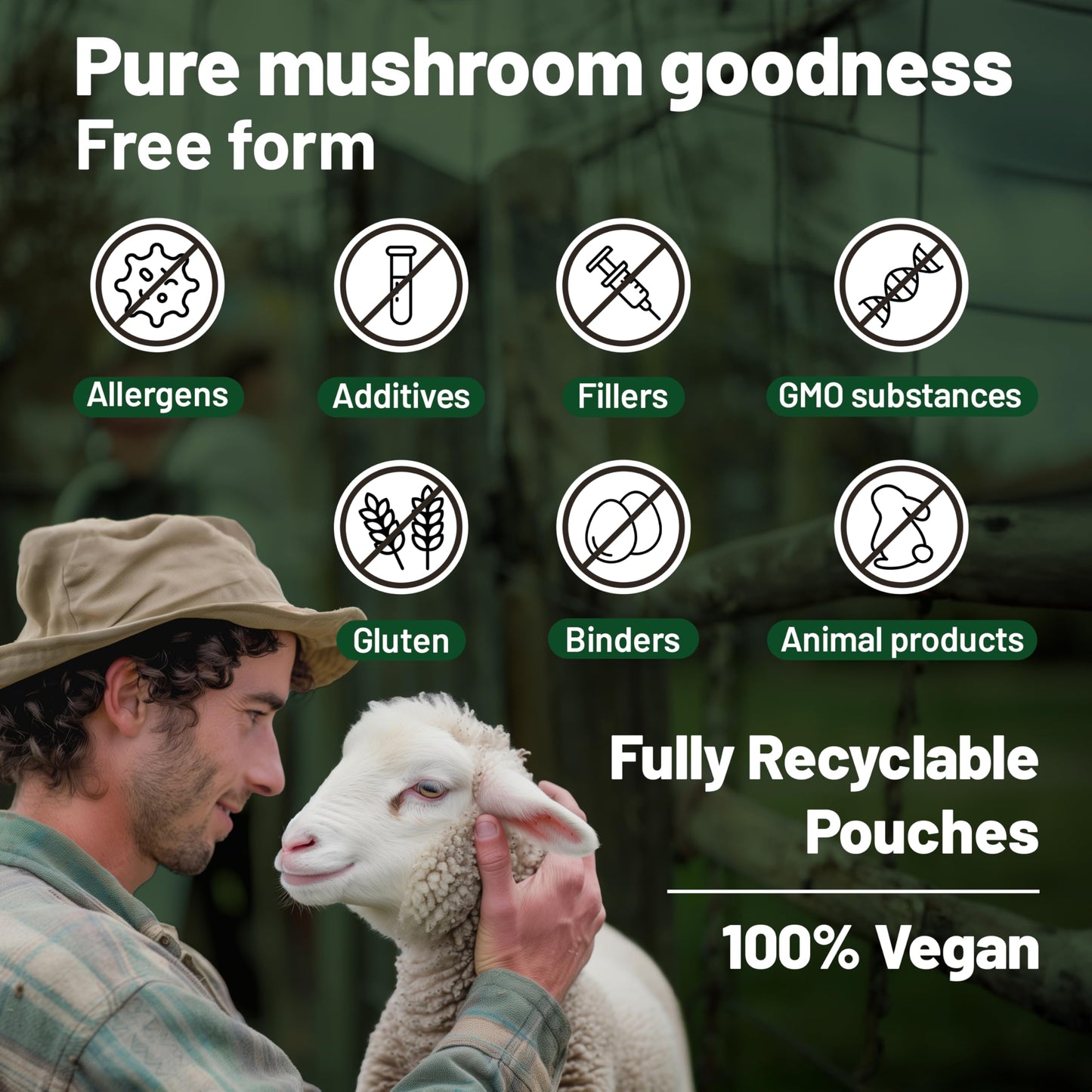 Vegan Mushroom Complex – Reishi, Chaga, Lion's Mane, 120 Ct