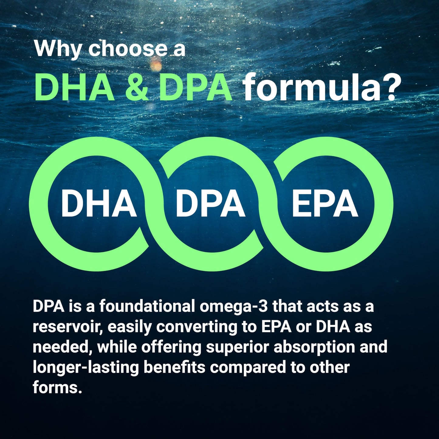 Micro Ingredients Vegan Omega-3 – DHA DPA ALA, Algae Oil, Lemon, 240 Ct