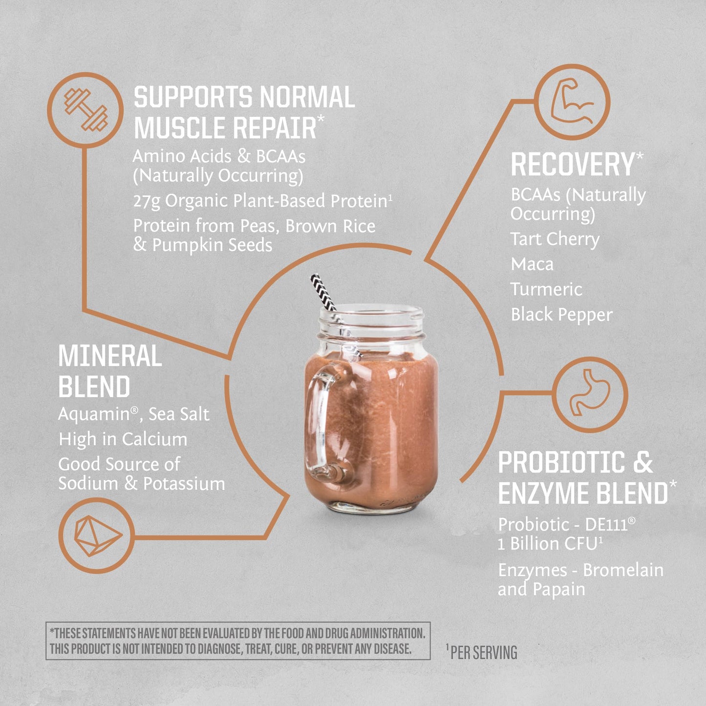 Peanut Butter Chocolate Vegan Protein - Organic, BCAAs, Sugar-Free, 20 Servings