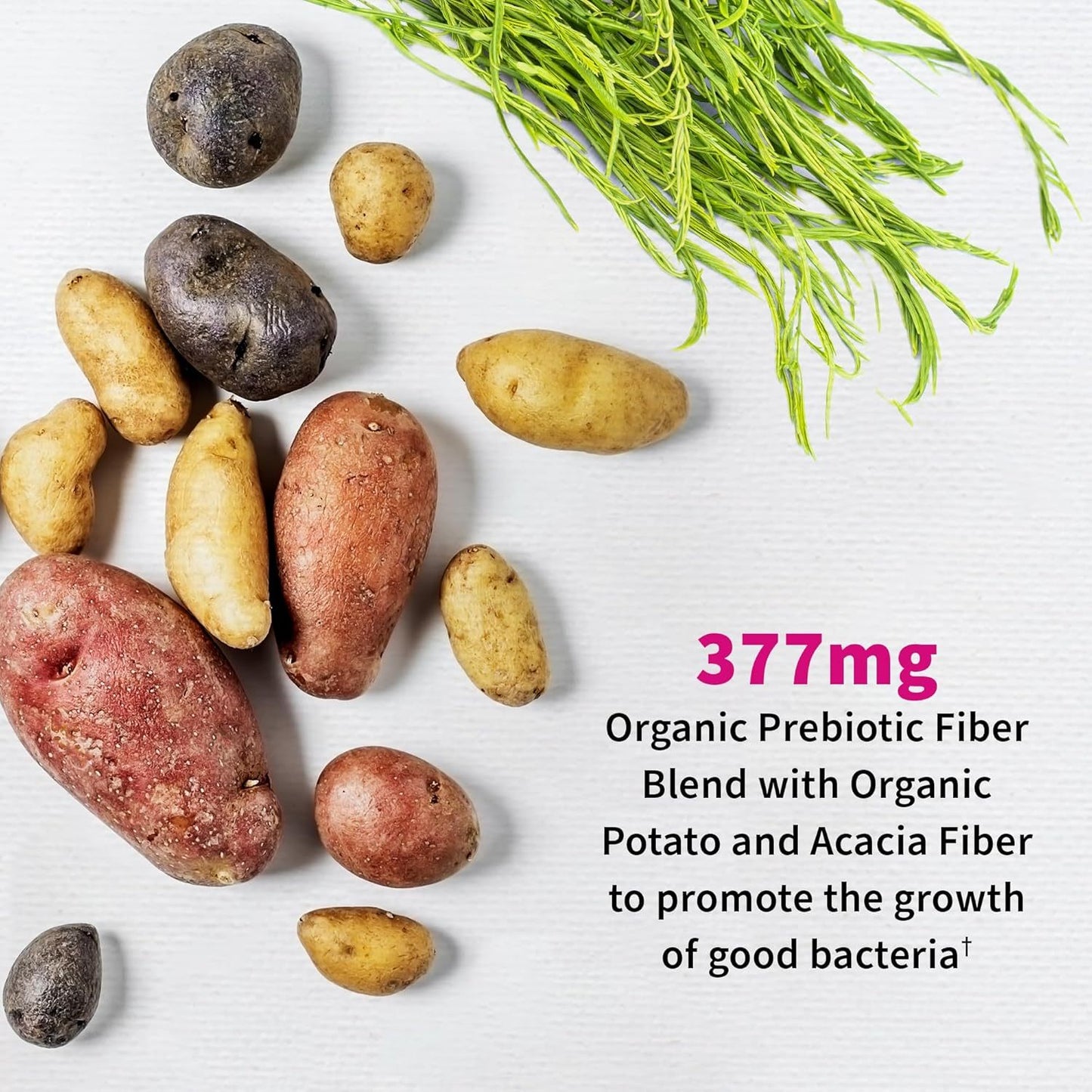 Women’s Probiotic – 50 Billion CFU + Prebiotics
Gut, vaginal & pH support in one clean, once-daily vegan capsule.
