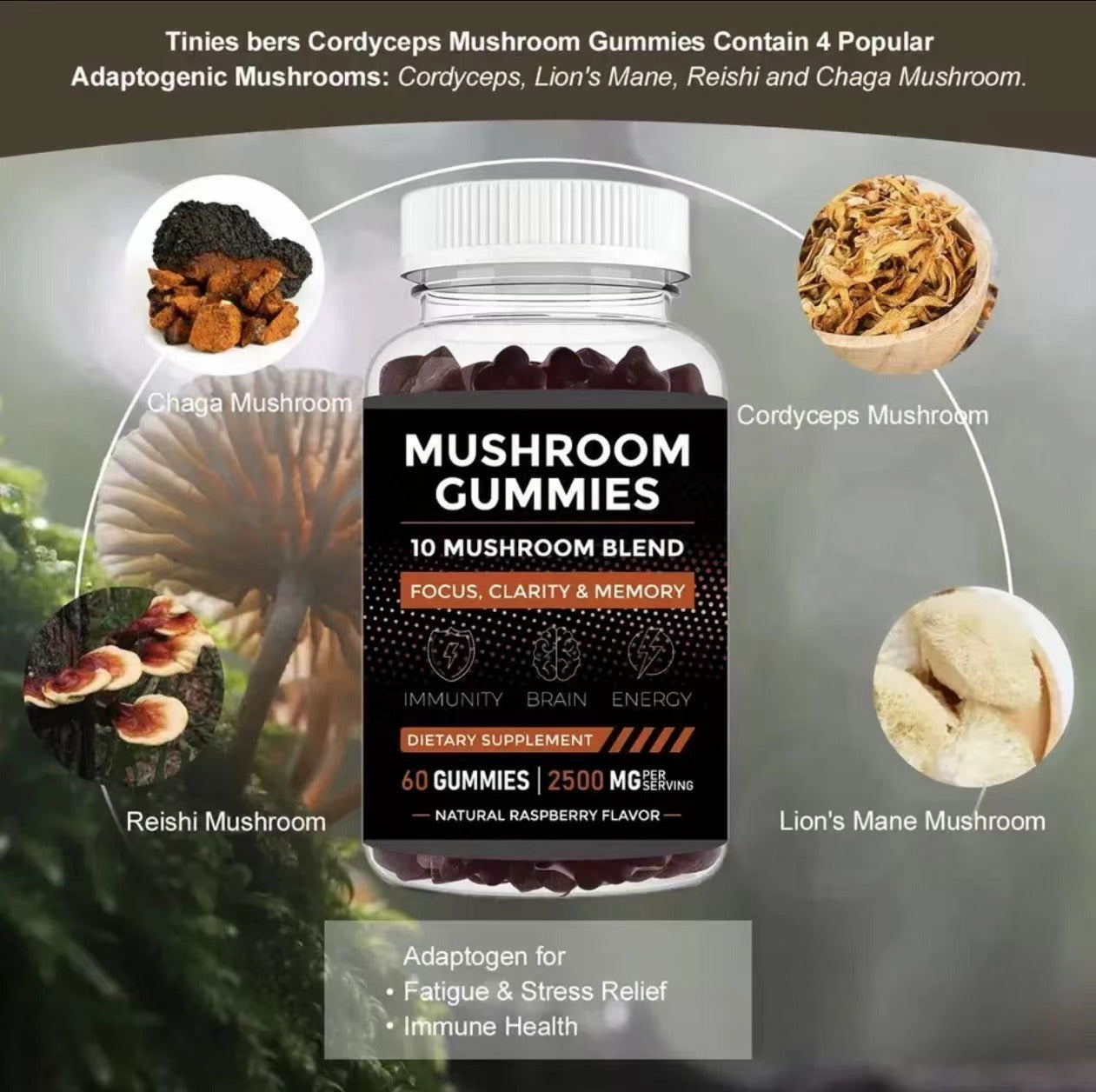 Mushroom Soft Candy – Focus, Energy & Immune Support
Vegan 3-in-1 bear gummies with lion’s mane, reishi & cordyceps.