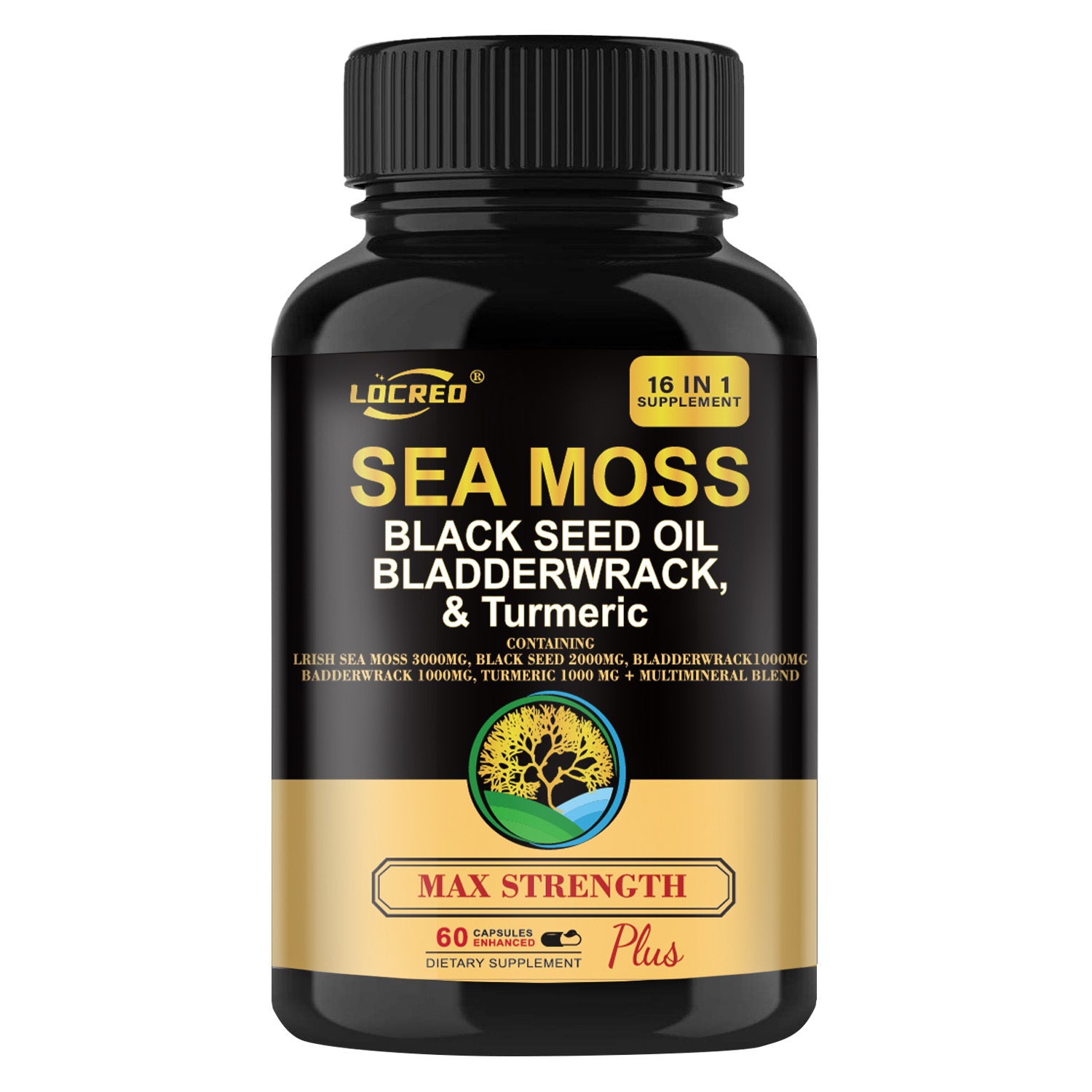 16-in-1 Sea Moss + Black Seed Capsules
Joint, immune & digestive support with turmeric & superfoods.