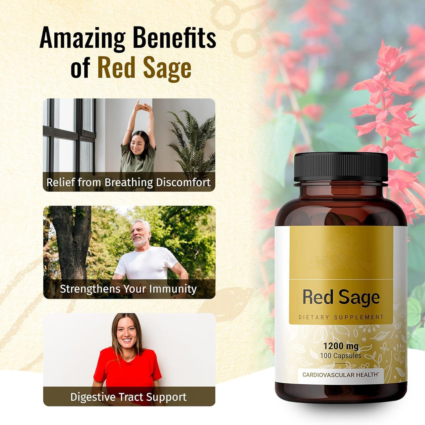 Red Ginseng & Salvia Vegan Capsules
Daily herbal energy & circulation support for focus, stamina & heart health.