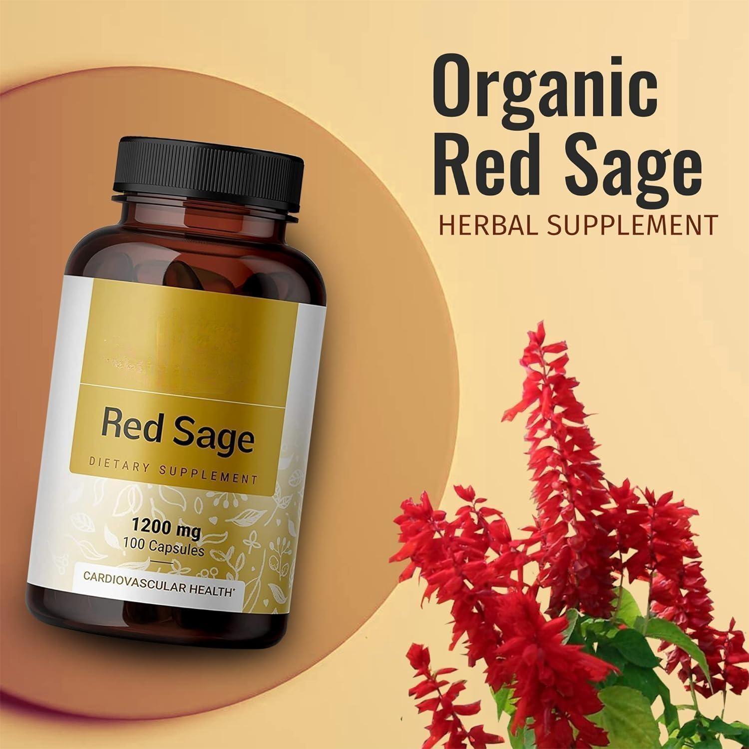 Red Ginseng & Salvia Vegan Capsules
Daily herbal energy & circulation support for focus, stamina & heart health.