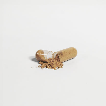 Premium Liver Support
Vegan formula with milk thistle & turmeric for daily liver detox & health.