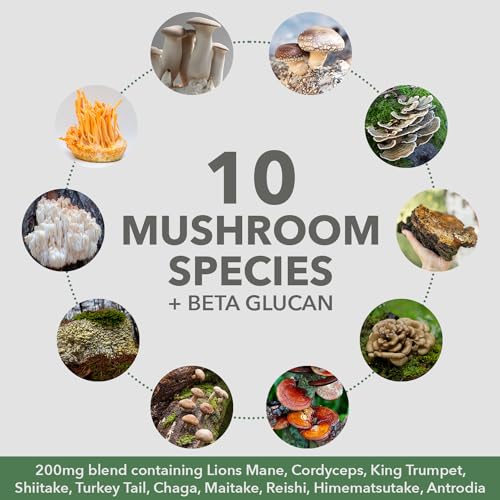 PlantFusion Mushroom Protein – Chocolate, Vegan, Adaptogen Blend, 1 lb