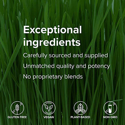 Vibrant Health, Maximum Vibrance, Complete Vegan Meal Shake with Plant-Based Protein, Vanilla Bean, 15 Servings
