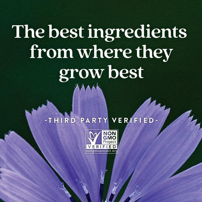 New Chapter All-Flora Gummies – Prebiotic Fiber & Vegan Gut Support