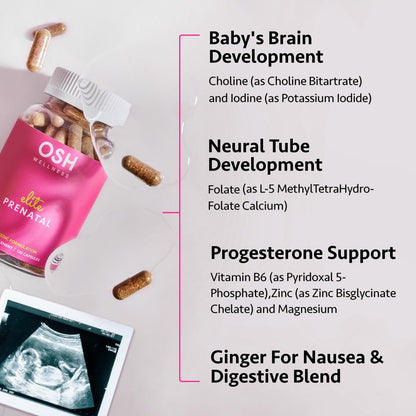 Ayurvedic Prenatal Vitamins – Folate, Choline, Iron, Iodine – 30 Ct
Gentle Prenatal | Bioavailable Folate | Brain & Thyroid Support | 30 Capsules